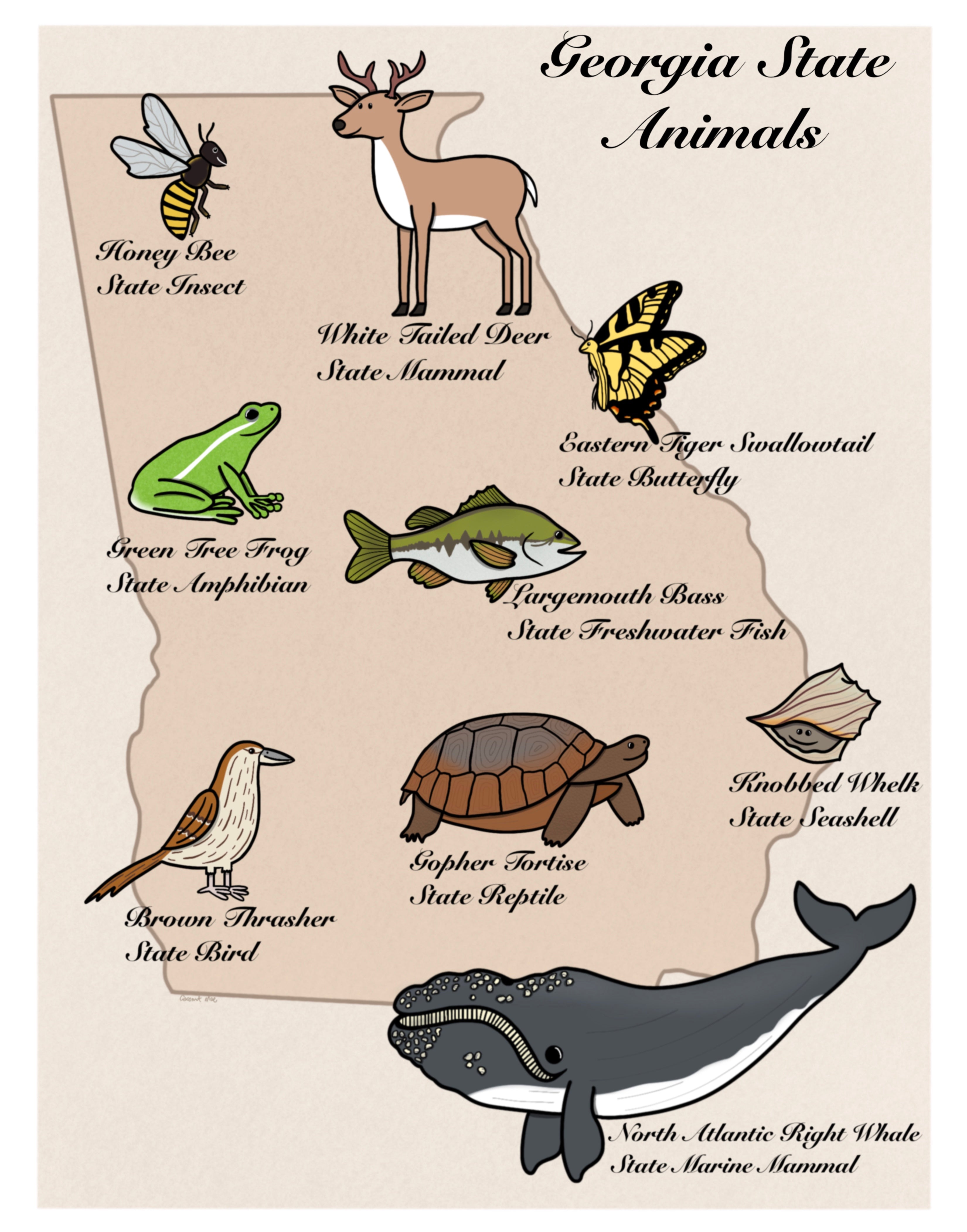 Georgia State Animals Print