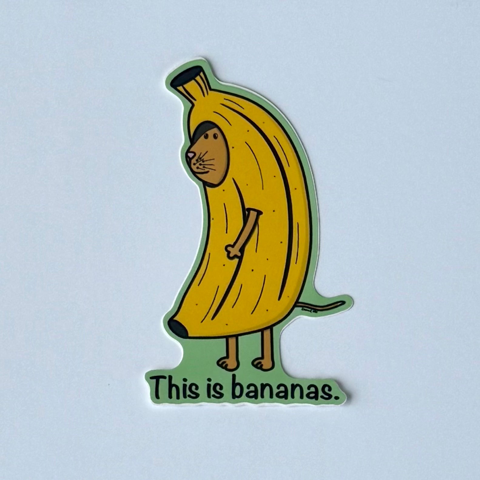 Bananas cat sticker