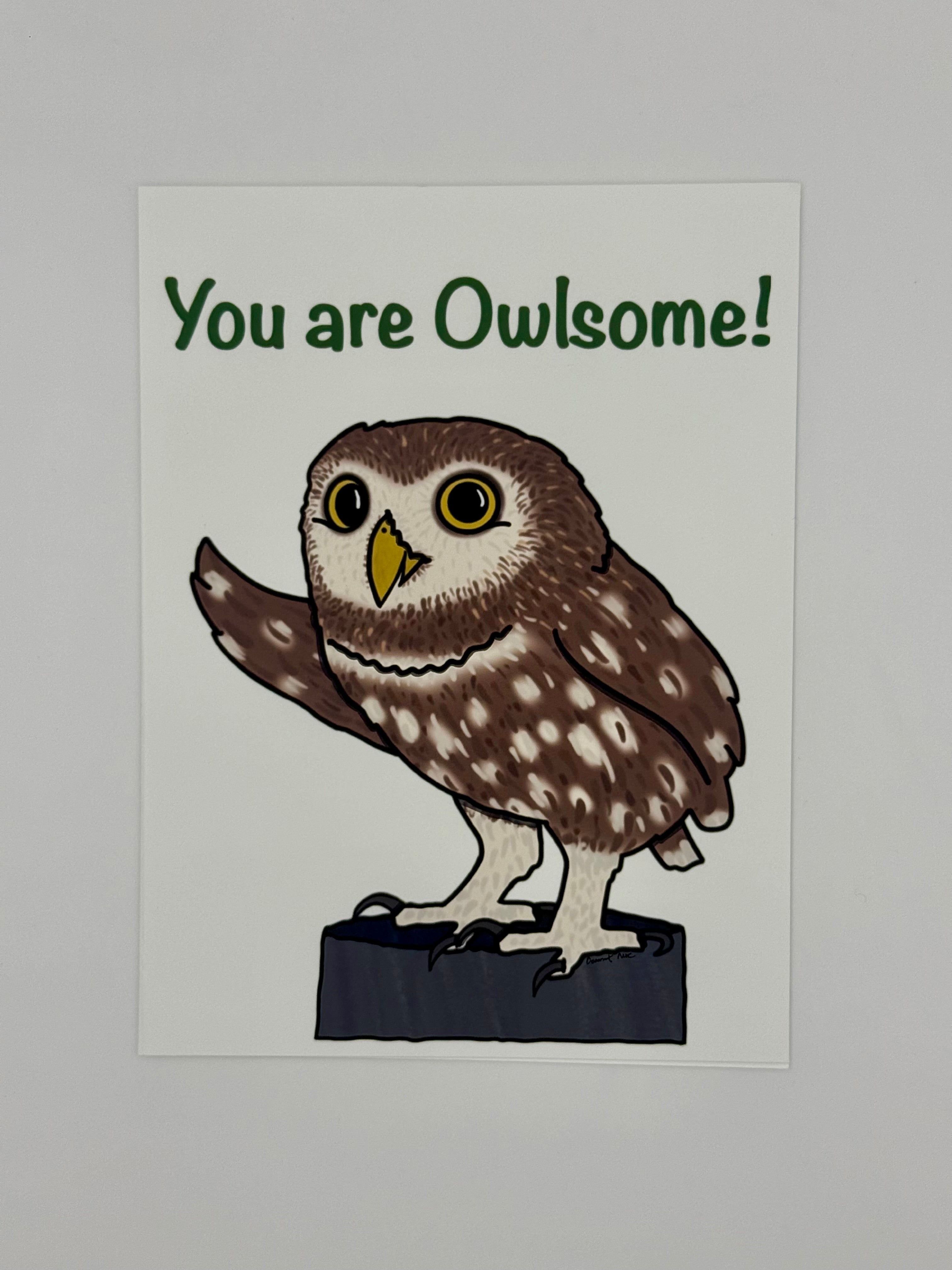 Owlsome Card