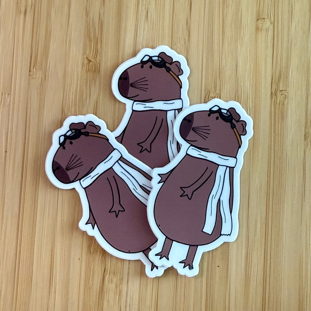 Cool Capybara