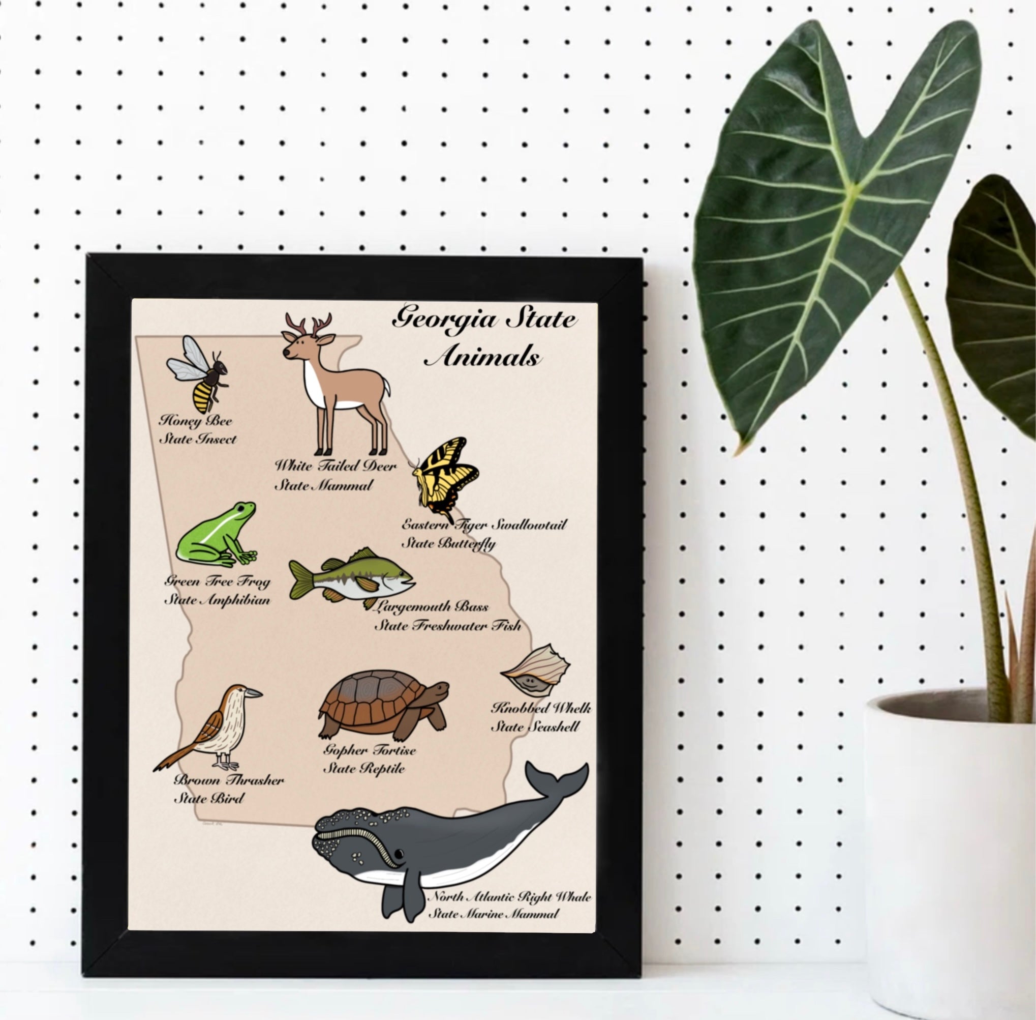 Georgia State Animals Print