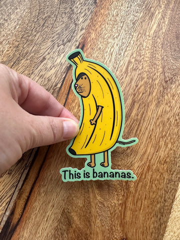 Bananas cat sticker