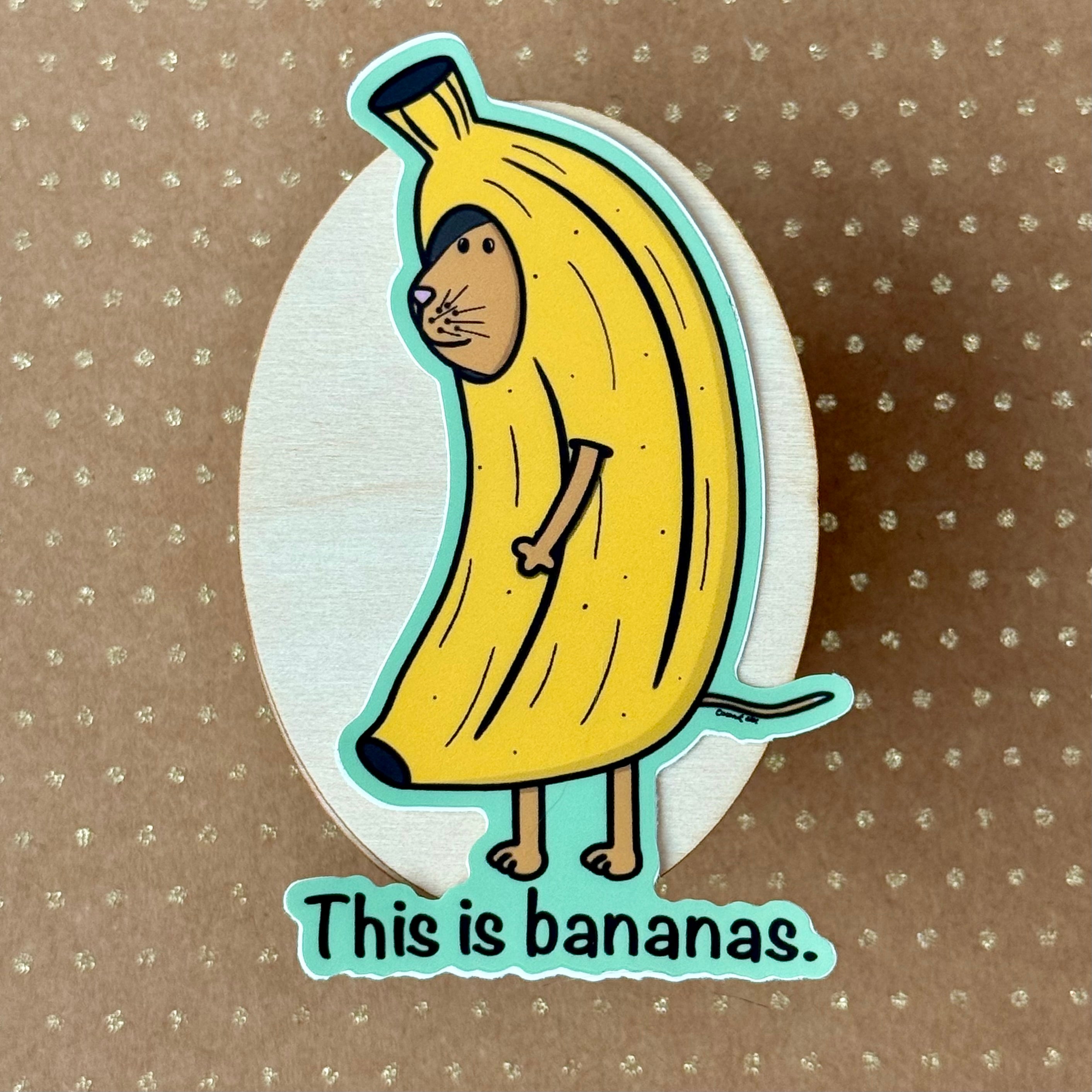 Bananas cat sticker