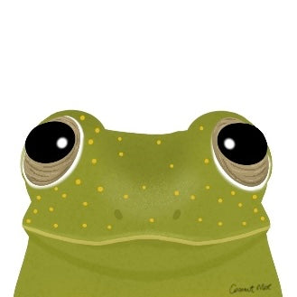 Mini Matted Frog Print